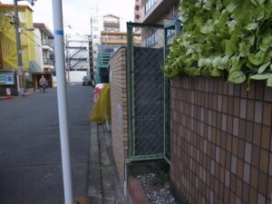 剪定後①